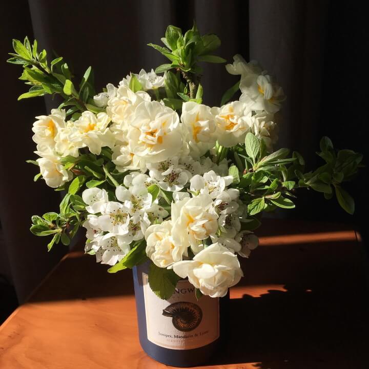 Posy flowers in a jam jar image