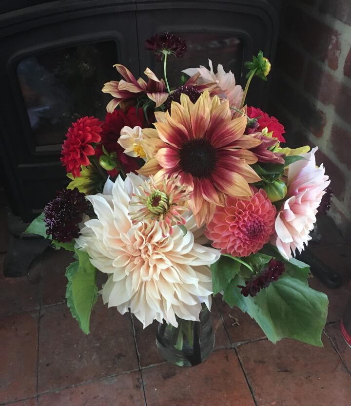 Posy flowers in a jam jar image