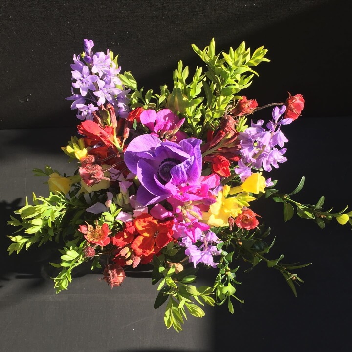 Posy flowers in a jam jar image